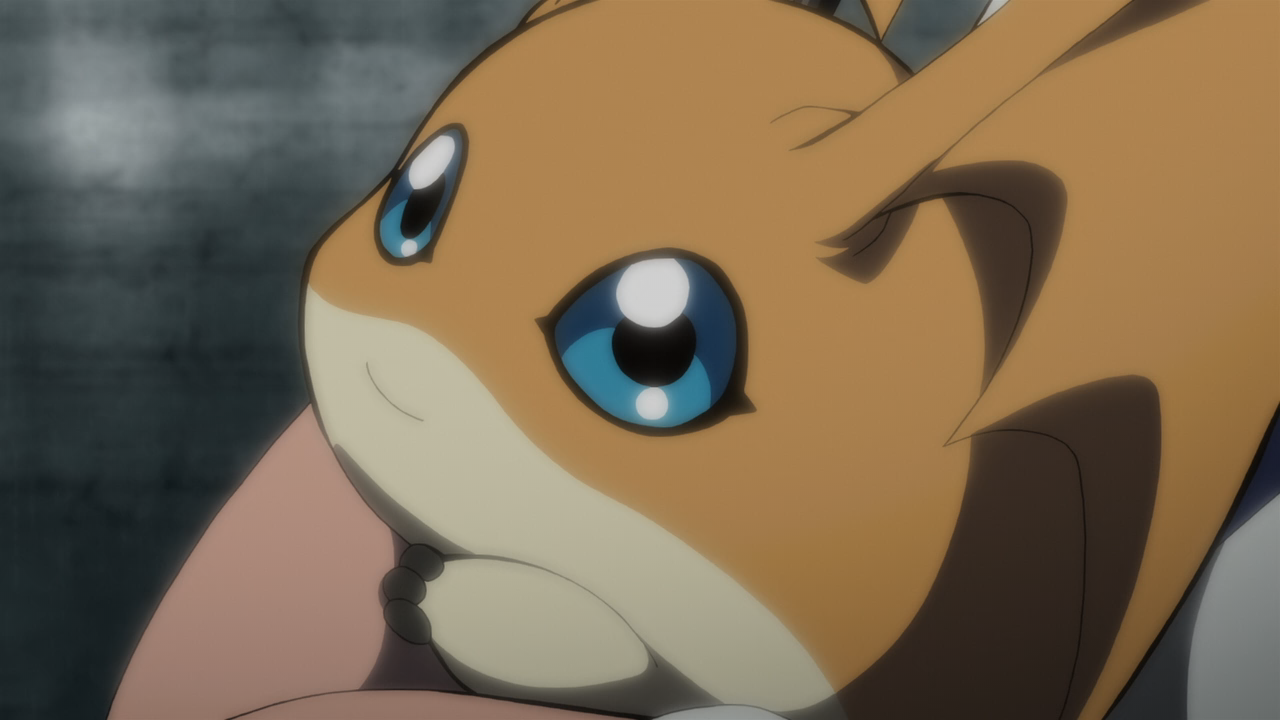 Digimon Adventure tri. 3: Kokuhaku (Ñyuum)